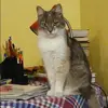 Отзыв от Полина Борисова